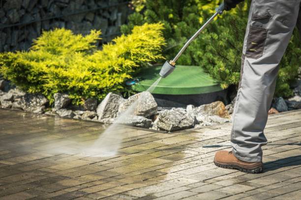 Best Gutter Cleaning and Brightening in Denton, TX